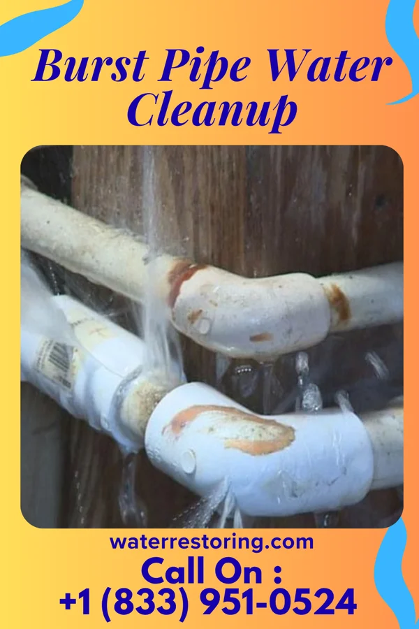 Burst Pipe Water Cleanup in Butler, NJ