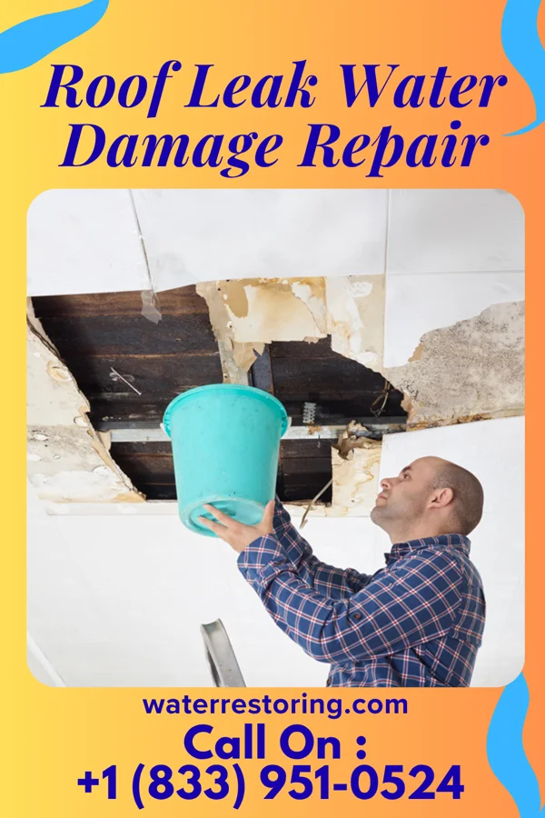 Roof Leak Water Damage Repair in Butler, NJ
