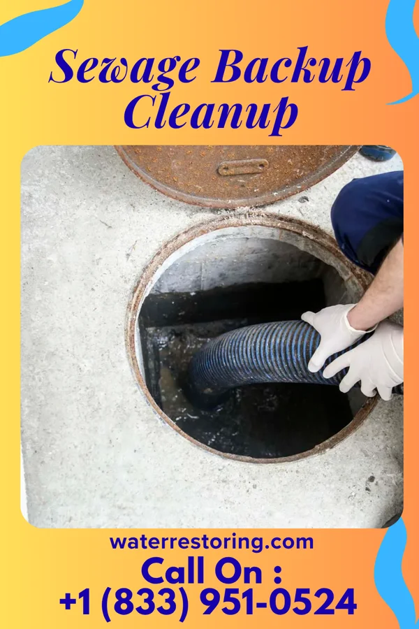 Sewage Backup Cleanup in Butler, NJ
