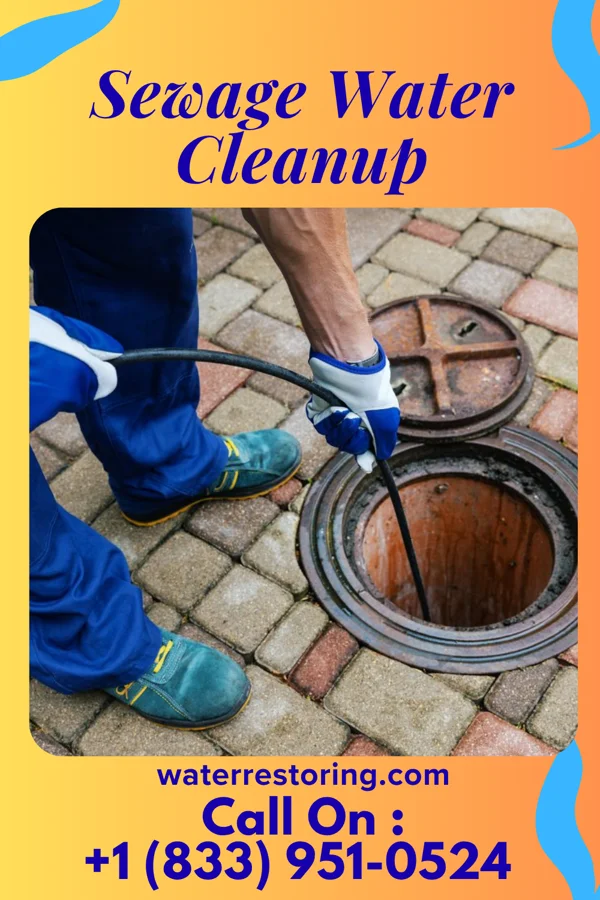 Sewage Water Cleanup in Butler, NJ