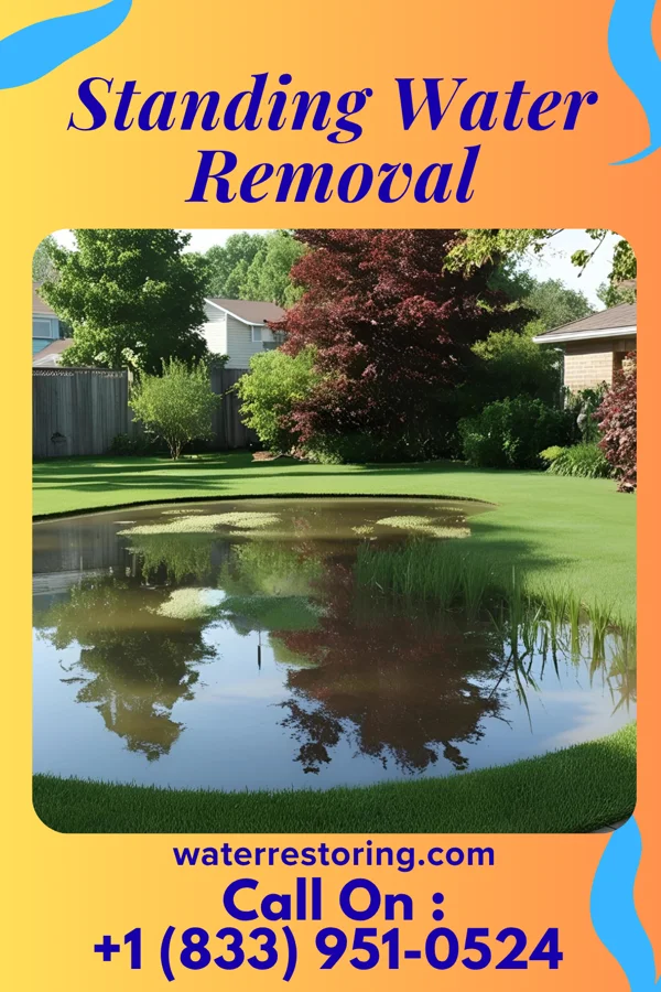 Standing Water Removal in Butler, NJ